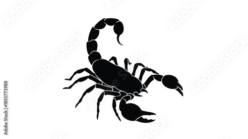 A striking black scorpion design detailed form and features silhouette