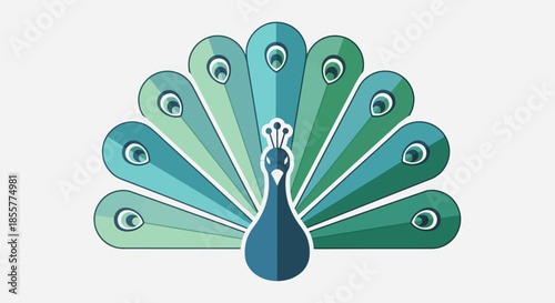 Stylized elegant peacock illustration with vibrant tail feathers fanned out