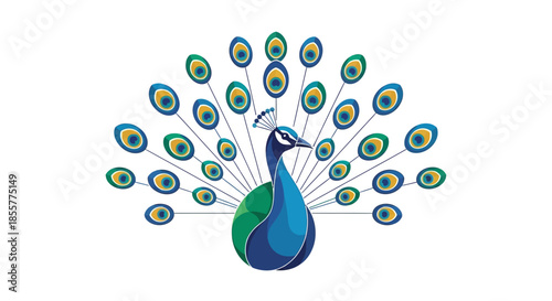Stylized Illustration of a Peacock with Vibrant Feathers and Elegant Display