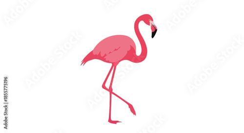 Stylized illustration of a pink flamingo standing on one leg on a plain white background
