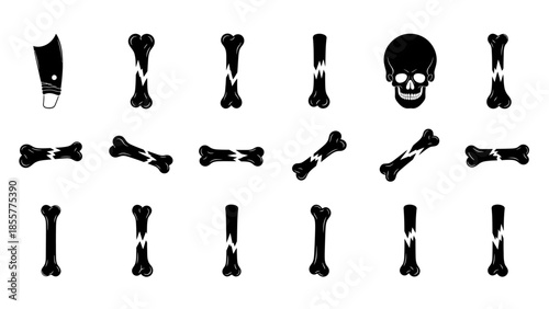 A collection of black silhouette icons depicting various bones, some broken, a skull, and a diving fin, against a white background.