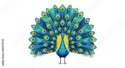 Vibrant and Detailed Digital Illustration of a Peacock Showing Its Beautiful Plumes Spread Wide