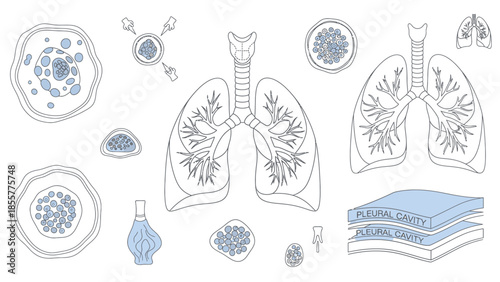 Detailed medical illustration of human respiratory system, lung anatomy, and various cellular structures.