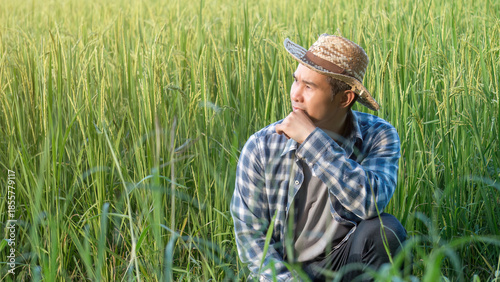 An Asian man is sitting in front of a rice farm.