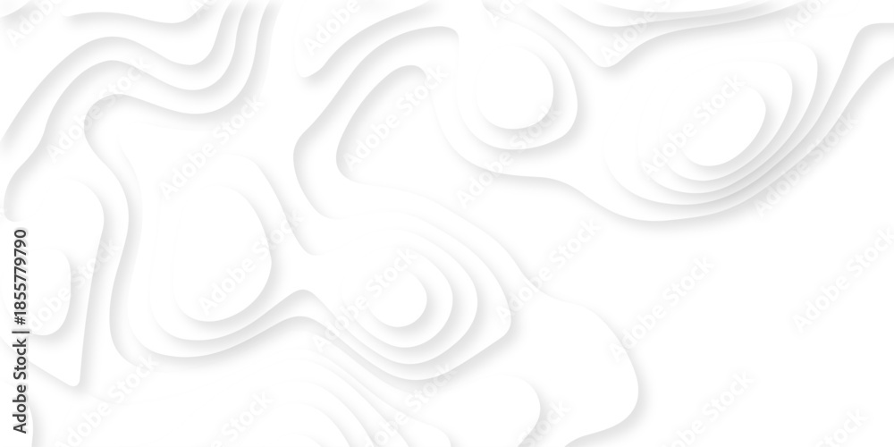 Fototapeta premium Abstract white papercut luxury diamond creative technology background. vector natural shadow papercut web topography map spiral line origami wave business texture.