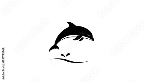 Silhouette of a dolphin jumping out of the water.