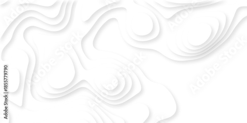 Abstract white papercut luxury diamond creative technology background. vector natural shadow papercut web topography map spiral line origami wave business texture.