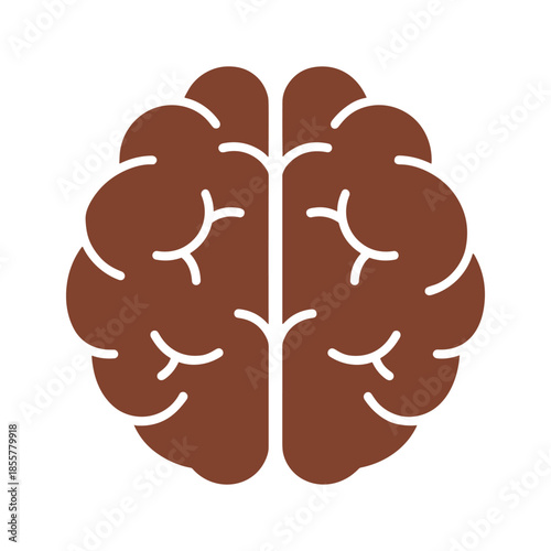 Brain Illustration