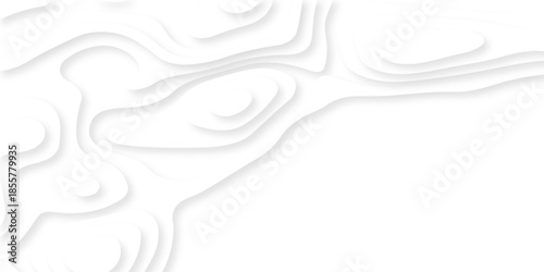 Abstract white papercut luxury diamond creative technology background. vector natural shadow papercut web topography map spiral line origami wave business texture.