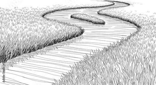 Pen and Ink Sketch Drawing of Winding Road Through Tall Grass Field Illustrating Business Strategy and Future Direction