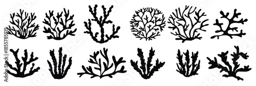 Sea corals and algae black silhouette