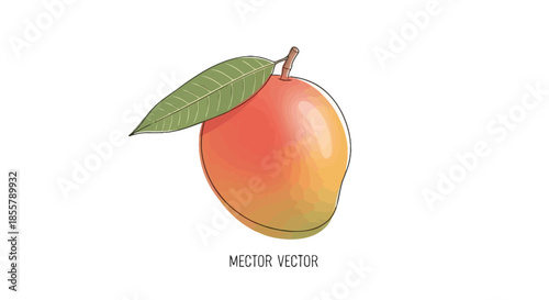 Illustration of a ripe mango with leaf on a white background for healthy fruit design