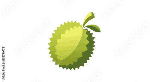 Stylized green durian fruit illustration with leaf for food and health themes