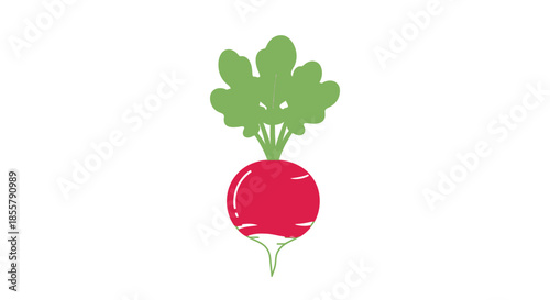 Minimalistic Illustration of a Radish with Green Leaves and Red Root