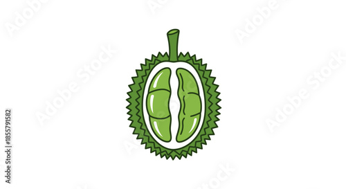 Illustration of a durian fruit with a stylized green outer skin and spiky texture in a simple