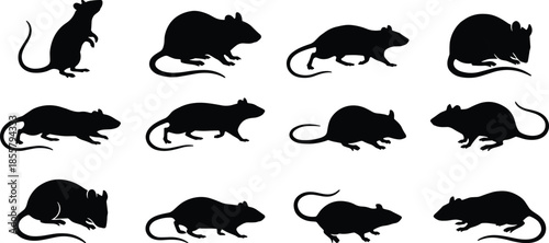 Black mouse silhouettes collection, small rodent poses, running sitting crawling mice, isolated vector illustration, wildlife pest design set icons art