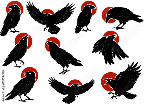 Crow silhouettes set, black ink collection of various crows and ravens with a red background. Hand drawn crow silhouettes set in different standing and flying poses.