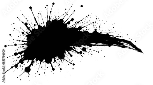 Dynamic black ink splatter with fine droplets and a sweeping tail on a white background.