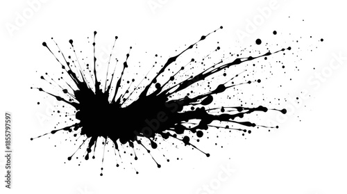 Dynamic black ink splatter on a clean white background, showing intricate patterns of droplets and streaks radiating outwards.