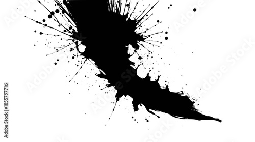 Vibrant black ink splatter creating an abstract and expressive texture on a clean white background.