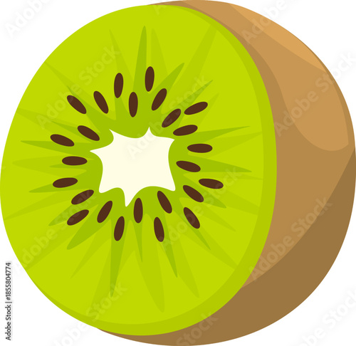 Vibrant green kiwi fruit slice with visible seeds and white core.