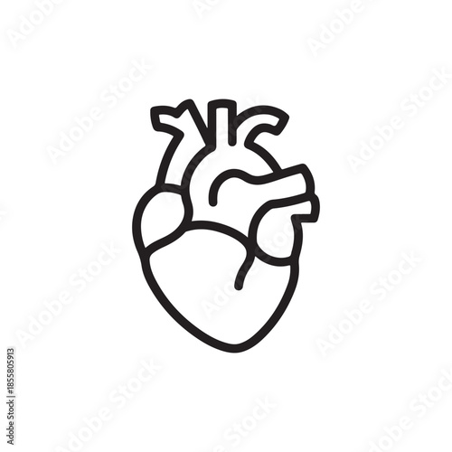 Detailed Human Anatomical Heart Line Icon for Cardiovascular Health and Medical Cardiology Science