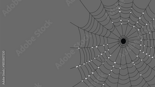 Intricate spider web with dew drops on dark background