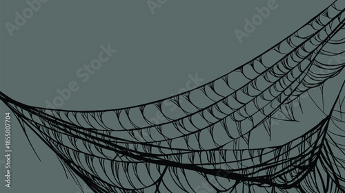 Intricate spider web on dark background with elegant black threads