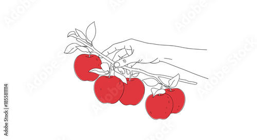 Minimalist line art illustration of a hand picking a fresh red apple from a branch symbolizing harvest and healthy eating.