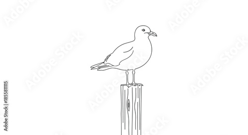 Simple black and white line art illustration of a seagull standing on top of a wooden post isolated on a white background.