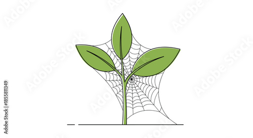 A simple line drawing of a small green plant sapling that has been completely covered by a delicate spider web illustration.