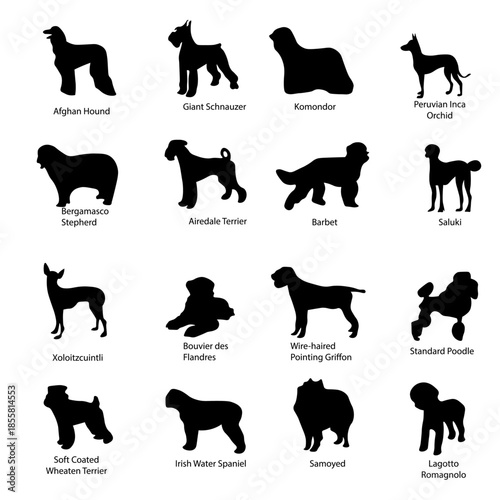 Set of 16 silhouettes of dogs in clean black vector.