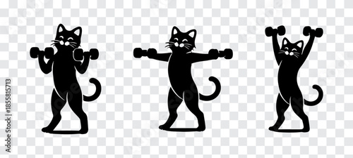 Minimalist black cat character silhouettes lifting weights in a charming fitness sequence. Strong, balanced poses with rounded anatomy and expressive posture, designed as high-contrast flat vector .