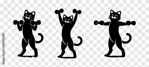 Minimalist black cat character silhouettes lifting weights in a charming fitness sequence. Strong, balanced poses with rounded anatomy and expressive posture, designed as high-contrast flat vector .