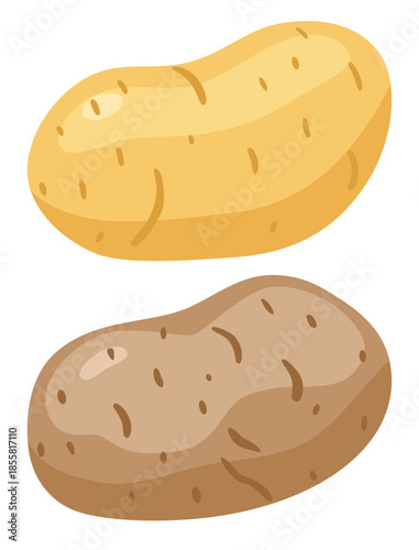 Potato. Hand drawn potatoes vector illustration isolated on white background. Set of two potatoes