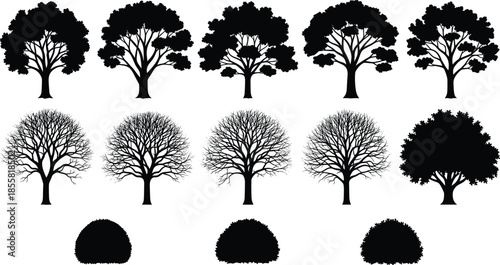 Tree silhouettes collection deciduous trees bushes, black vector illustration isolated on white background nature landscape design elements set graphic icons