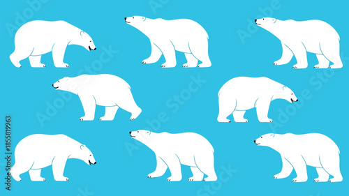 Eight white polar bears walking in different positions on blue background