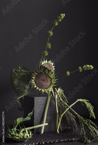 Still life with green sunflowers on black background.