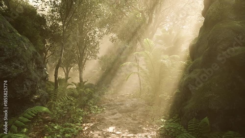 Morning light filters through dense trees, illuminating a tranquil forest path. Lush greenery and ferns line the way, creating a peaceful atmosphere in natures embrace.