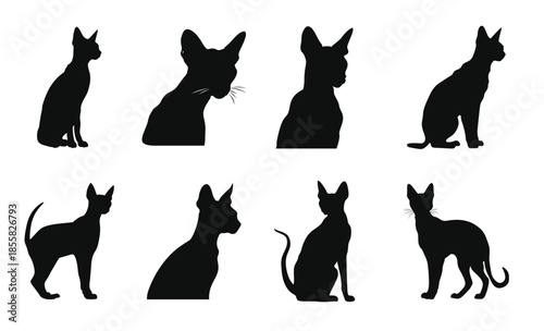 Obraz na plátně peterbald cat silhouettes vector bundle black cats