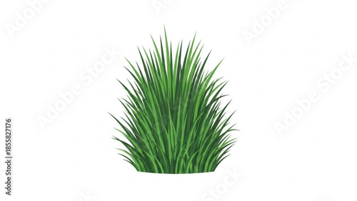 Vibrant green grass blades isolated on white background, lush foliage, natural texture, decorative element, botanical illustration, leafy plant, grassy bunch, fresh