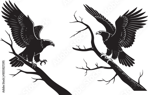 Two Black Eagle Silhouettes Perching on Dead Branches with Wings Spread