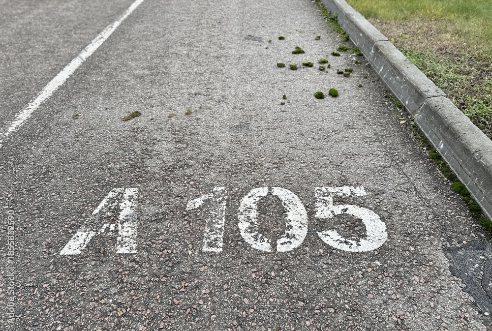 Fototapeta premium Parking Surface Decay, Cracked Lot With Moss Growth, Weathered Pavement Showing Cracks And Moss Patches, Deteriorated Asphalt With Faded Markings And Moss Covering Surface