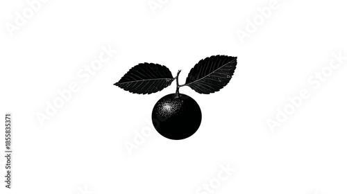 Detailed black and white botanical illustration of a small fruit with two leaves, vintage style drawing, isolated on white, nature design element