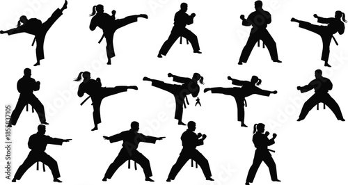 Karate silhouette vector set, martial arts fighters performing various high kicks and defense attack poses, male and female athlete icons, isolated training graphics.