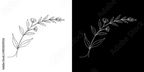 Minimalist botanical illustration of a delicate sprig with small flowers and leaves, presented in both negative and positive formats