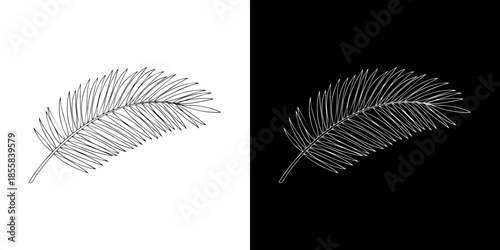 Minimalist black and white vector illustration of a tropical palm leaf silhouette, perfect for nature-inspired design elements and botanical icons