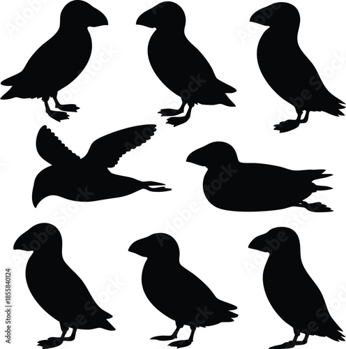 Collection of Eight Solid Black Puffin Silhouettes, Puffin Silhouettes in Standing, Flying, and Swimming Poses, Minimalist Sea Bird Silhouette Set, Puffin Silhouettes, illustration, vector.