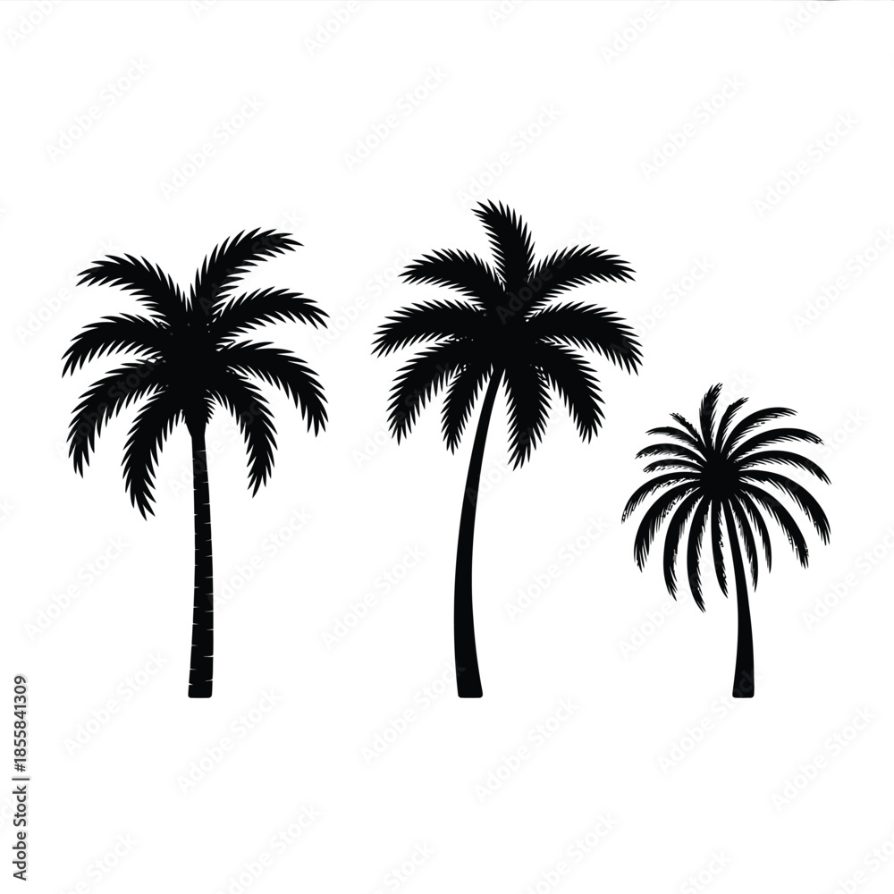 Obraz premium Three black silhouette palm trees against a plain white background