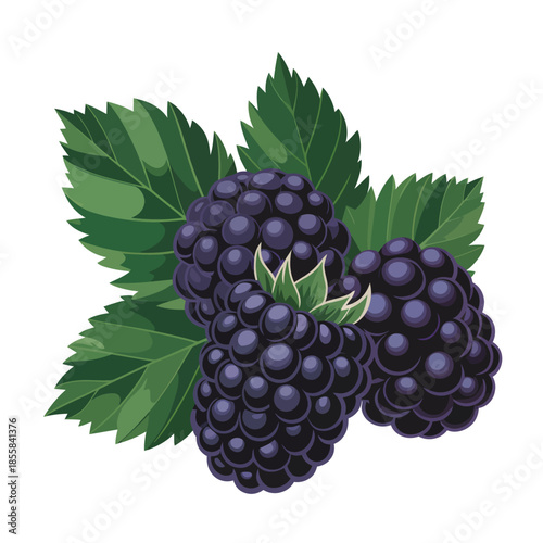 A vibrant cluster of fresh blackberries with lush green leaves displayed